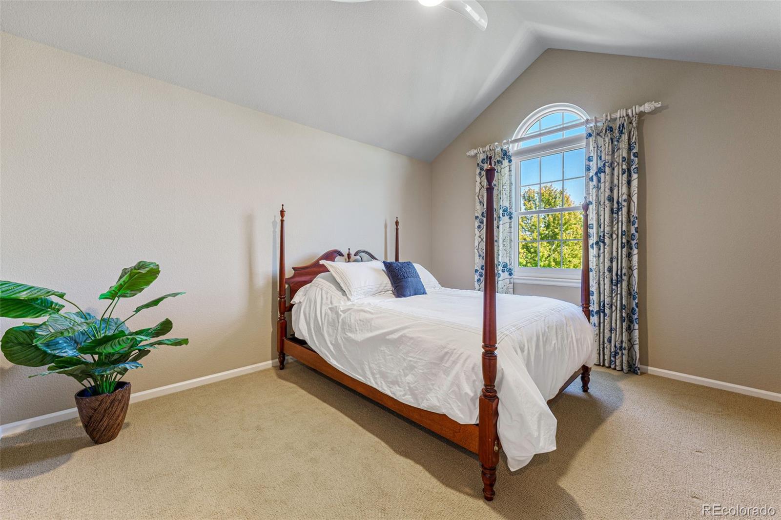 41 Quince Street Denver CO 80230