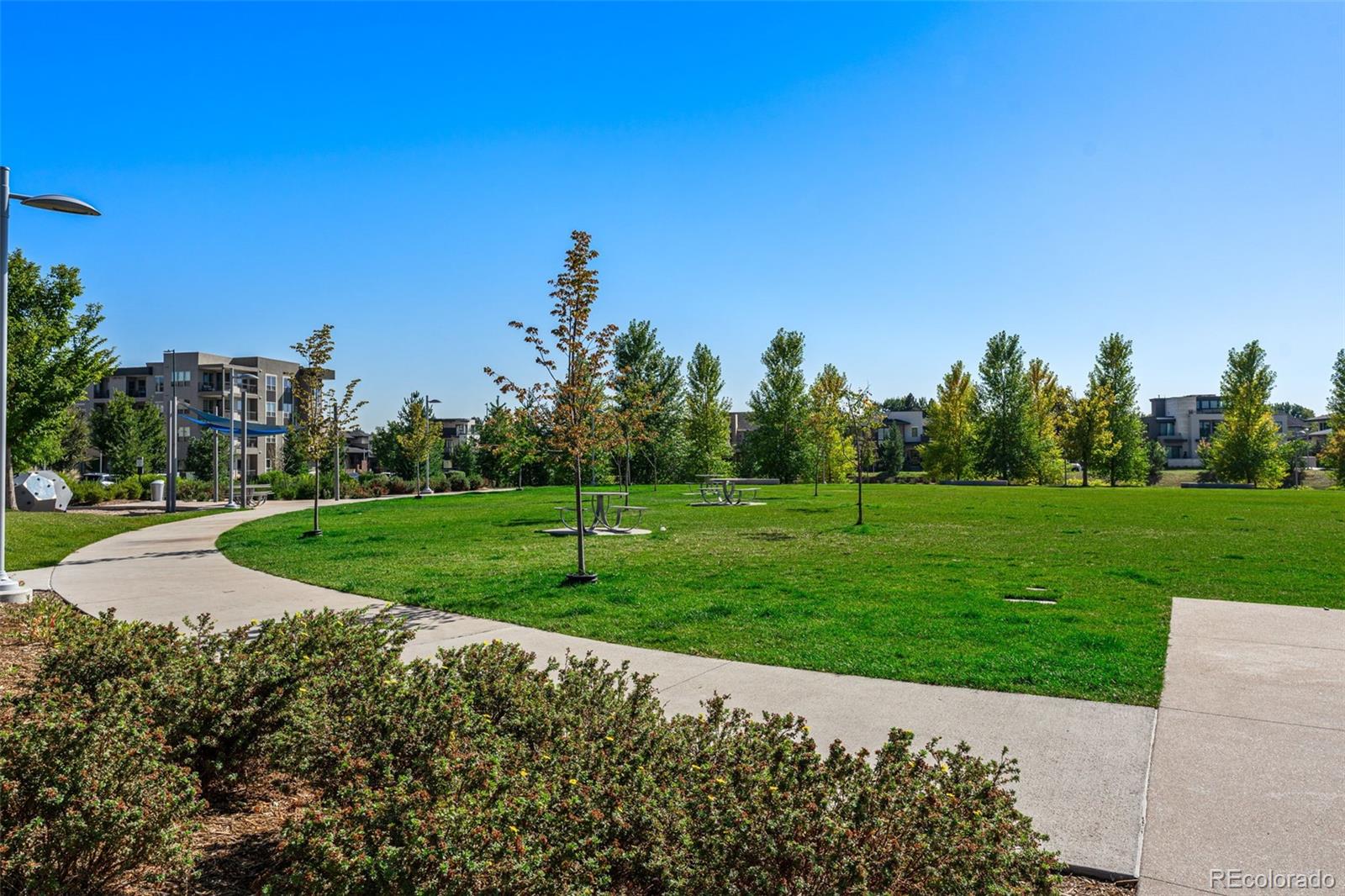 41 Quince Street Denver CO 80230