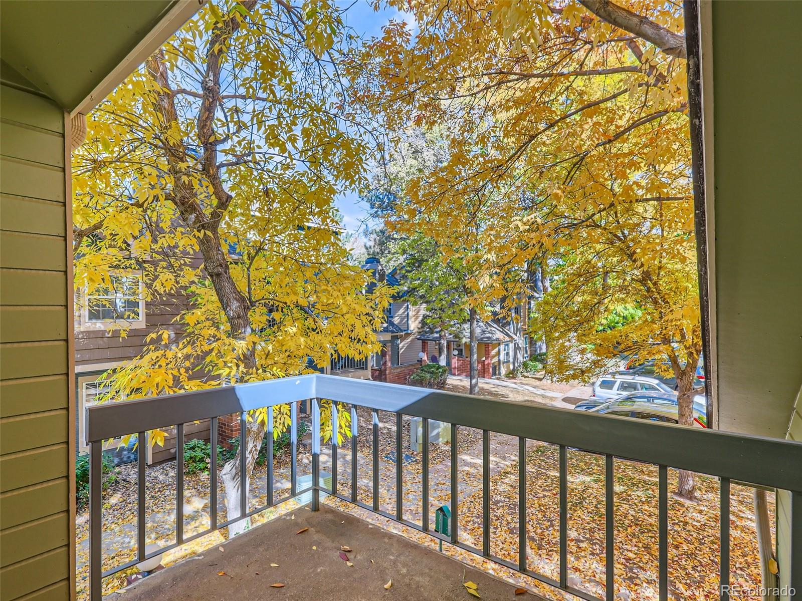 3565 Windmill Drive Fort Collins CO 80526