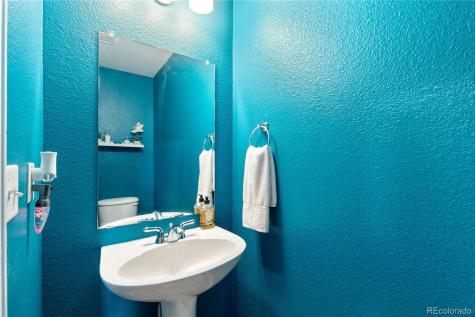 17254 Lark Water Lane Parker CO 80134