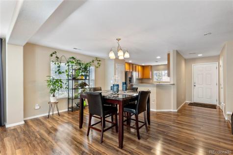 17254 Lark Water Lane Parker CO 80134