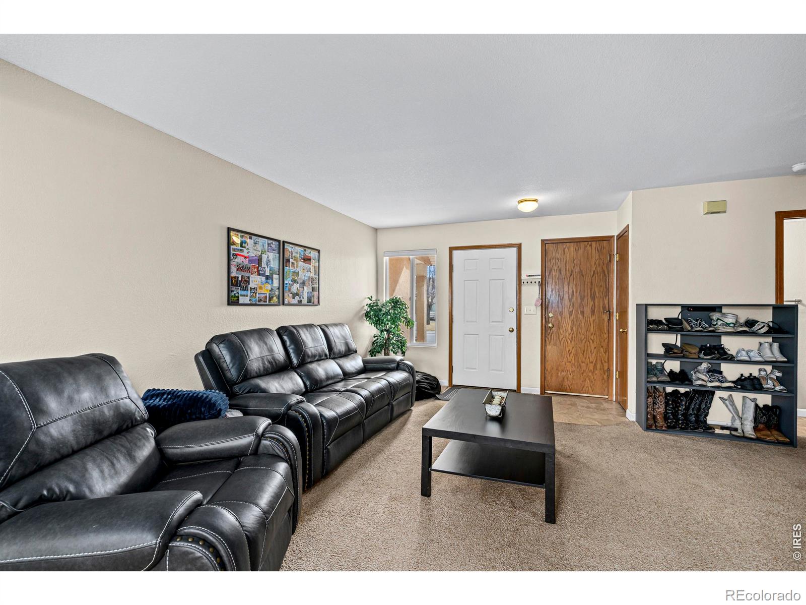 2156 Water Blossom Lane Fort Collins CO 80526