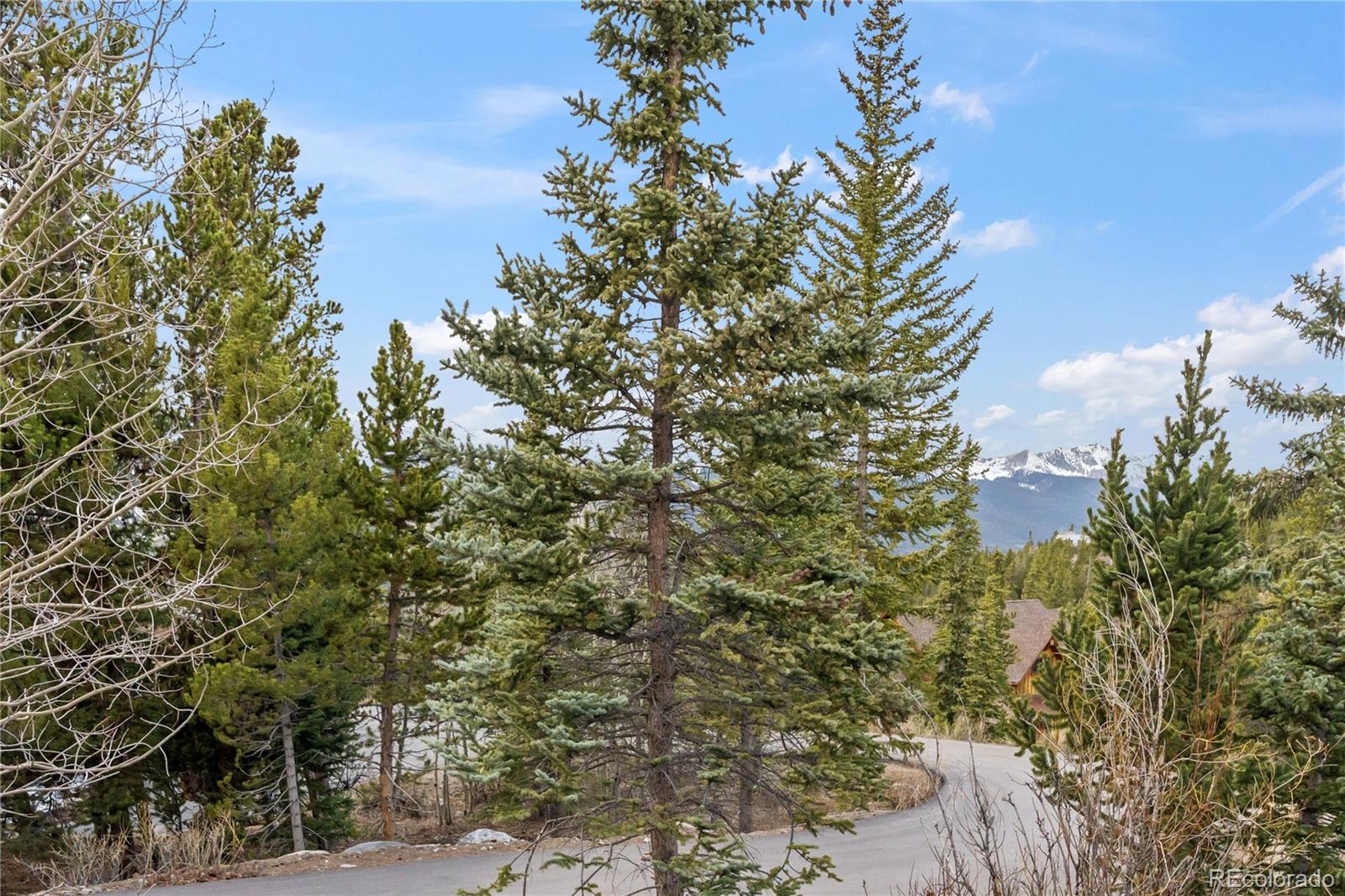 53 Atlantic Lode Road Breckenridge CO 80424