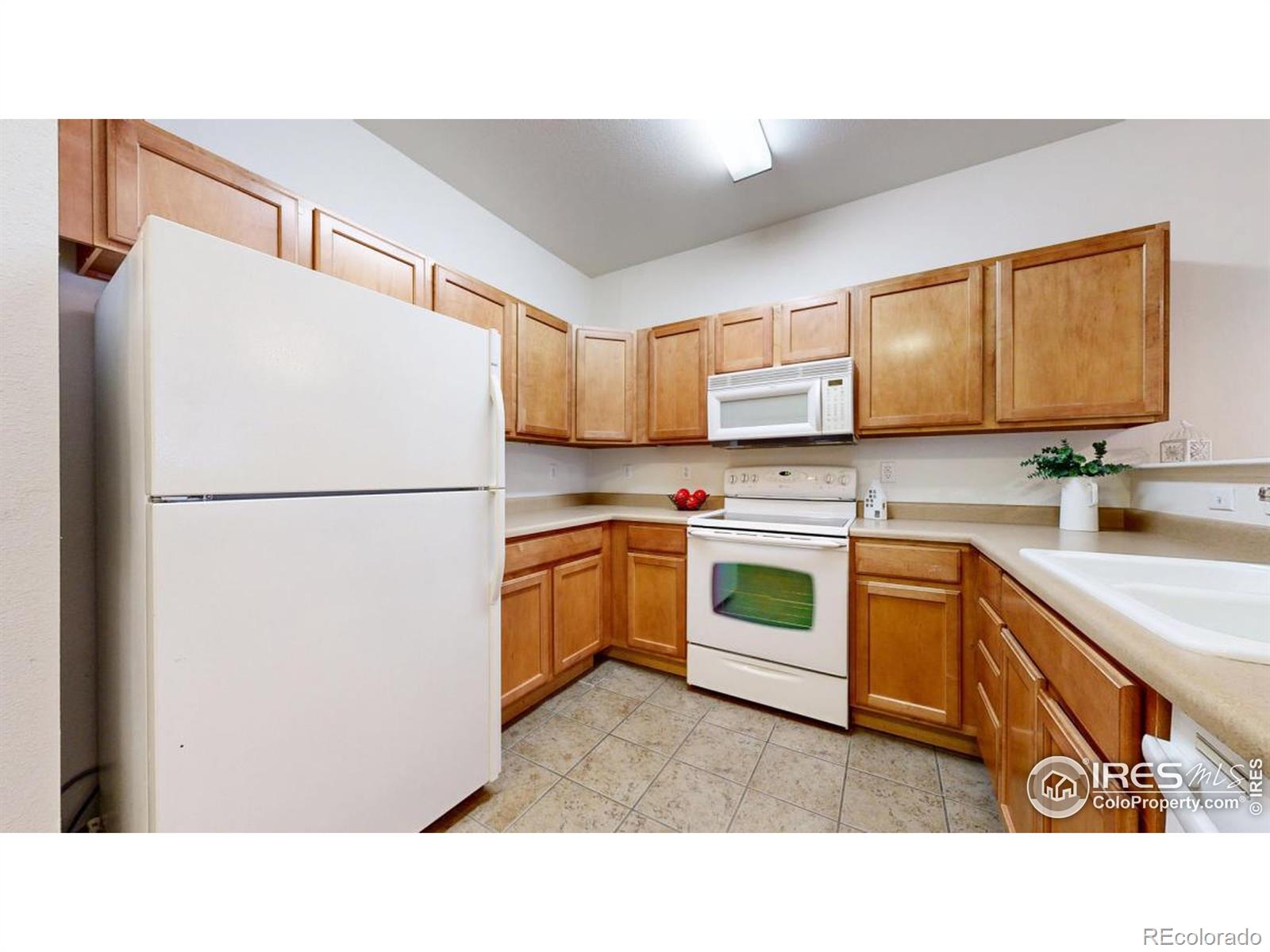 902 Lucca Drive Evans CO 80620
