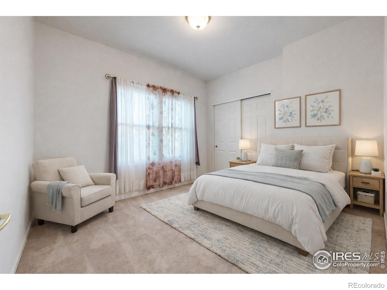 902 Lucca Drive Evans CO 80620