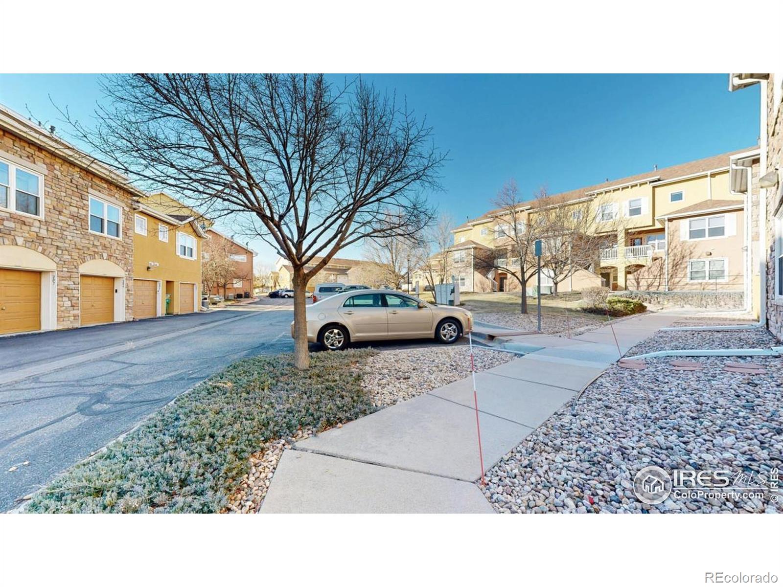 902 Lucca Drive Evans CO 80620