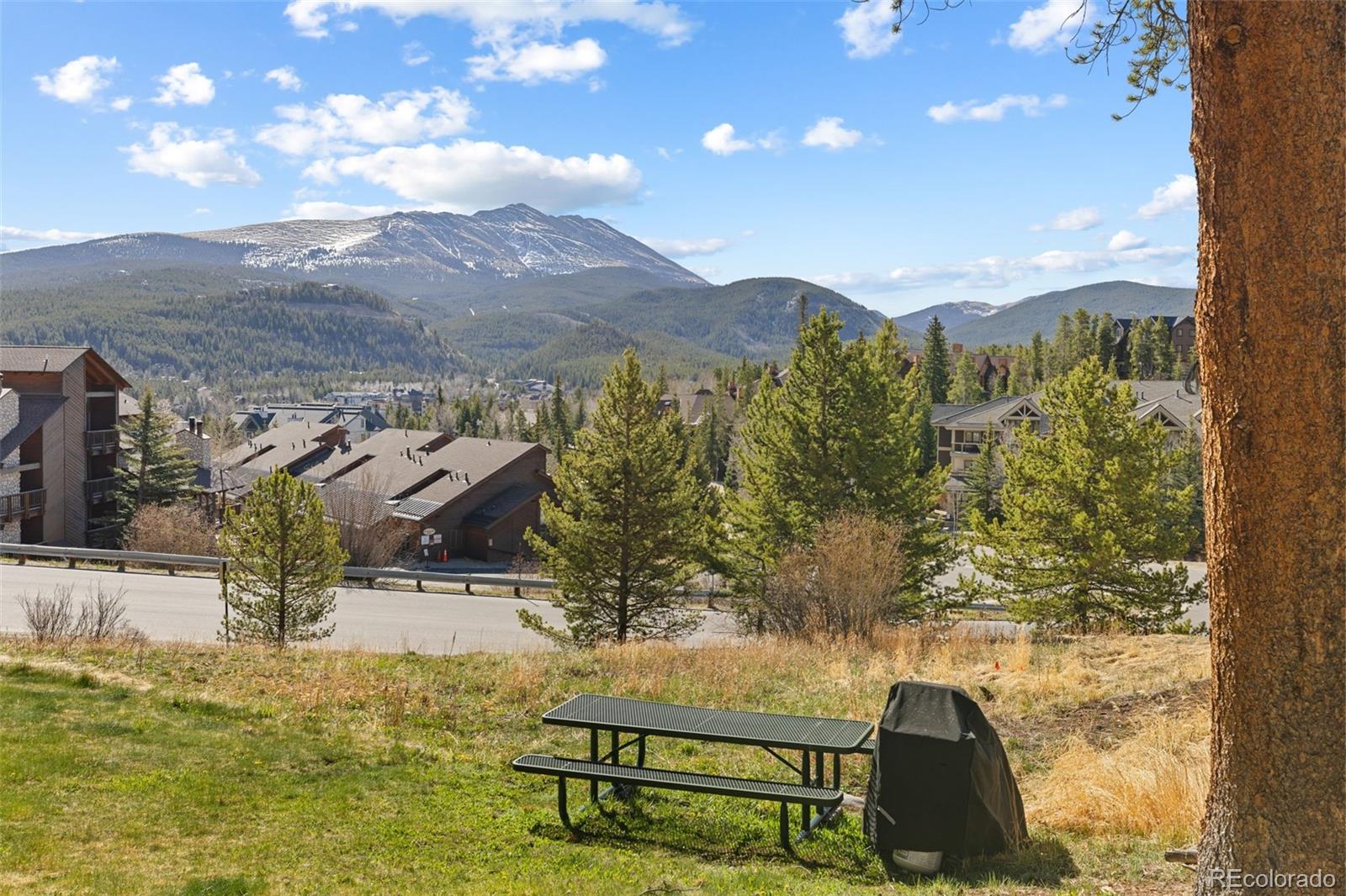 875 Four O Clock Road Breckenridge CO 80424