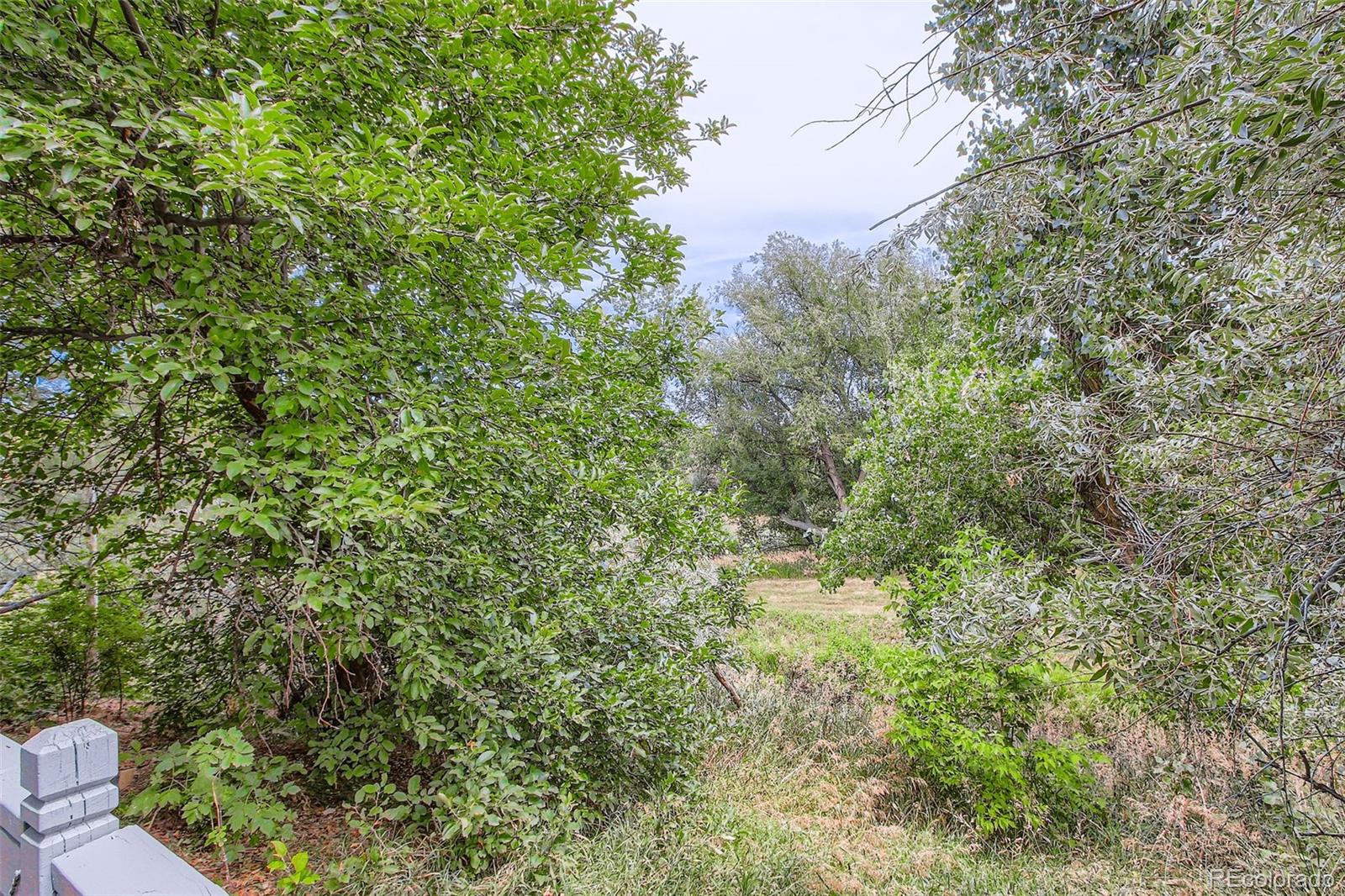 10253 W 80th Drive Arvada CO 80005