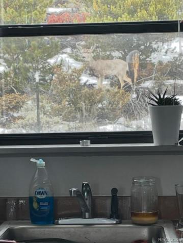 150 GCR 442 Grand Lake CO 80447