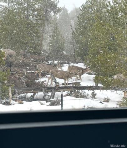 150 GCR 442 Grand Lake CO 80447