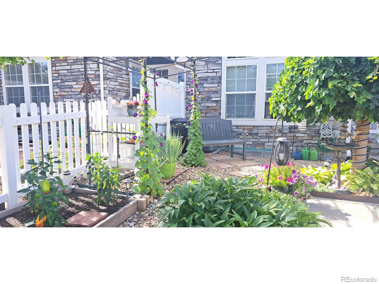 11278 Grove Street Westminster CO 80031