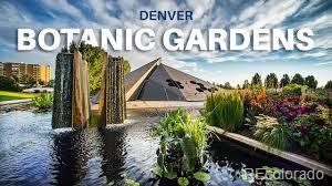 1060 N Washington Street Denver CO 80203