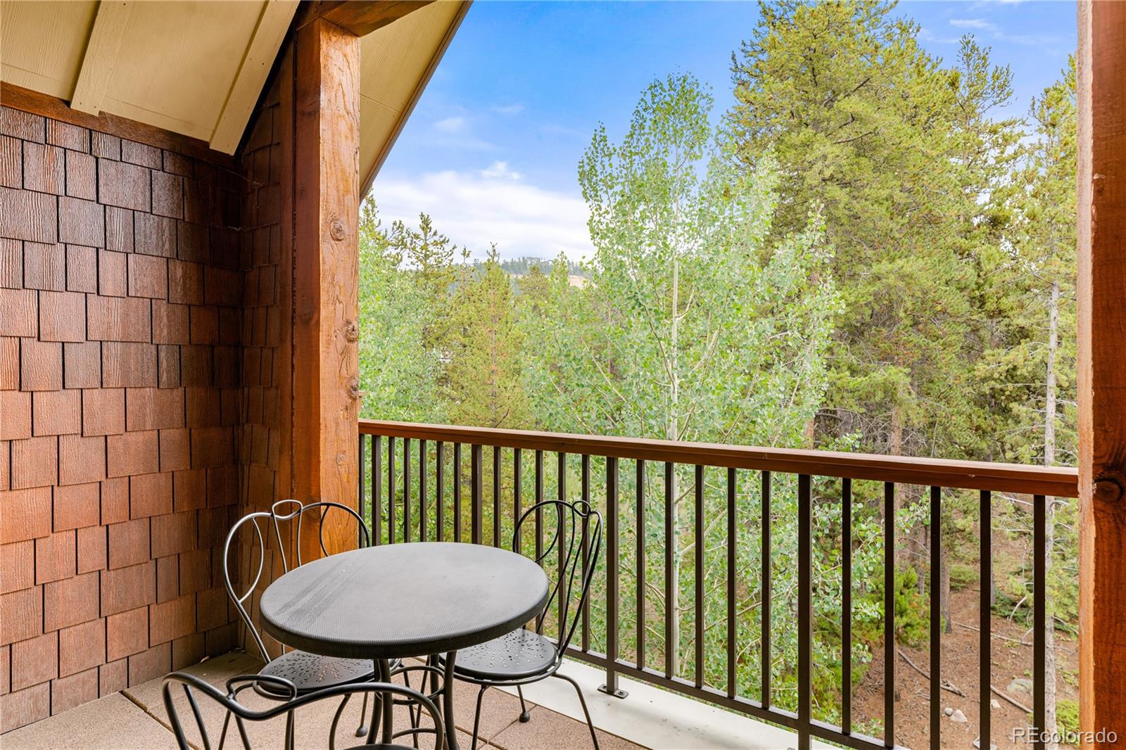 600 Columbine Road Breckenridge CO 80424