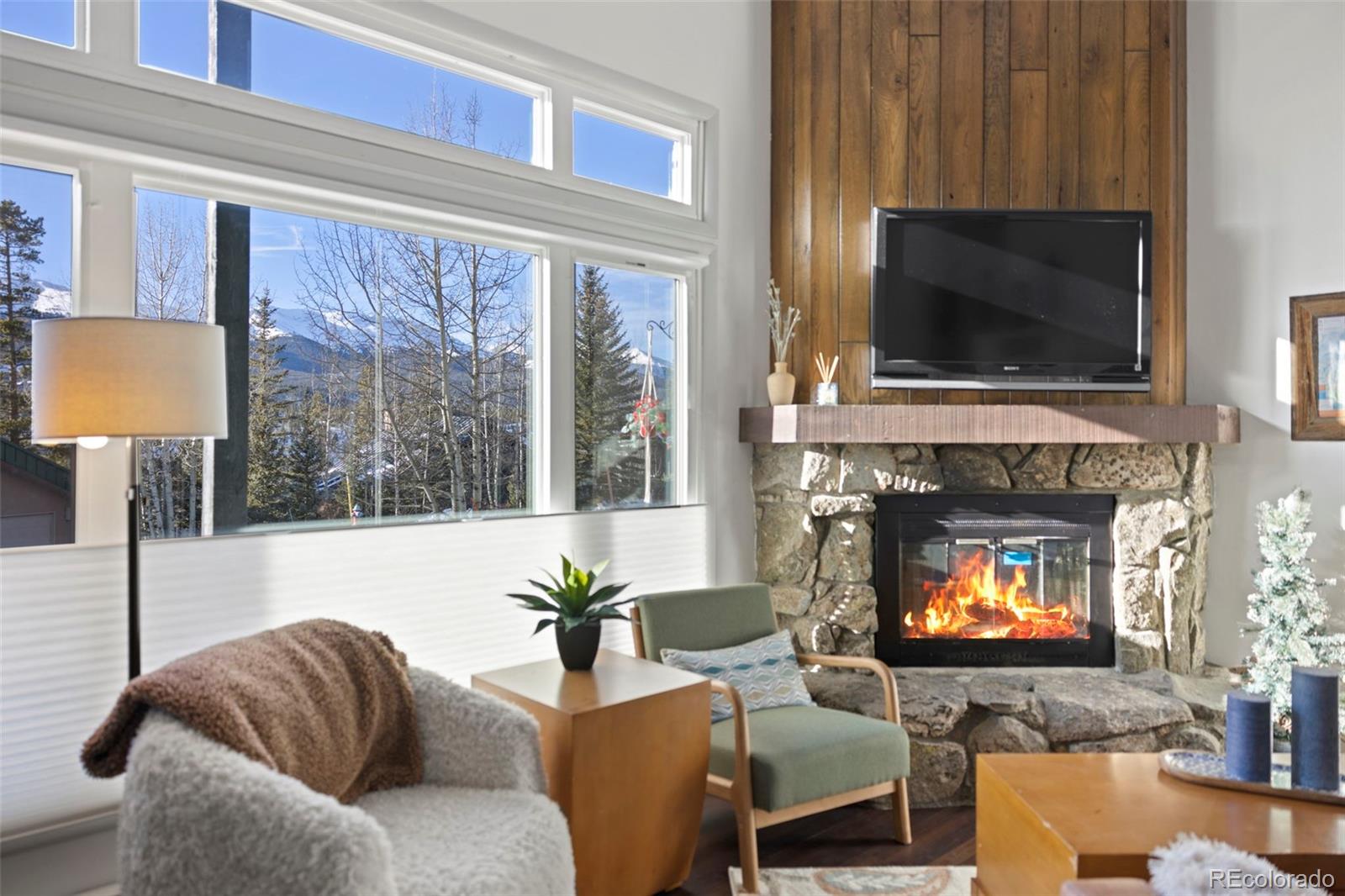 100 N Gold Flake Terrace Breckenridge CO 80424
