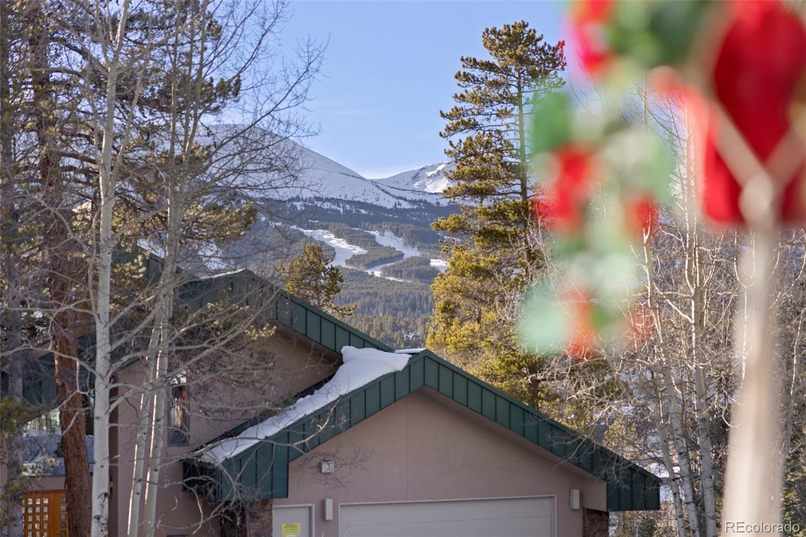 100 N Gold Flake Terrace Breckenridge CO 80424
