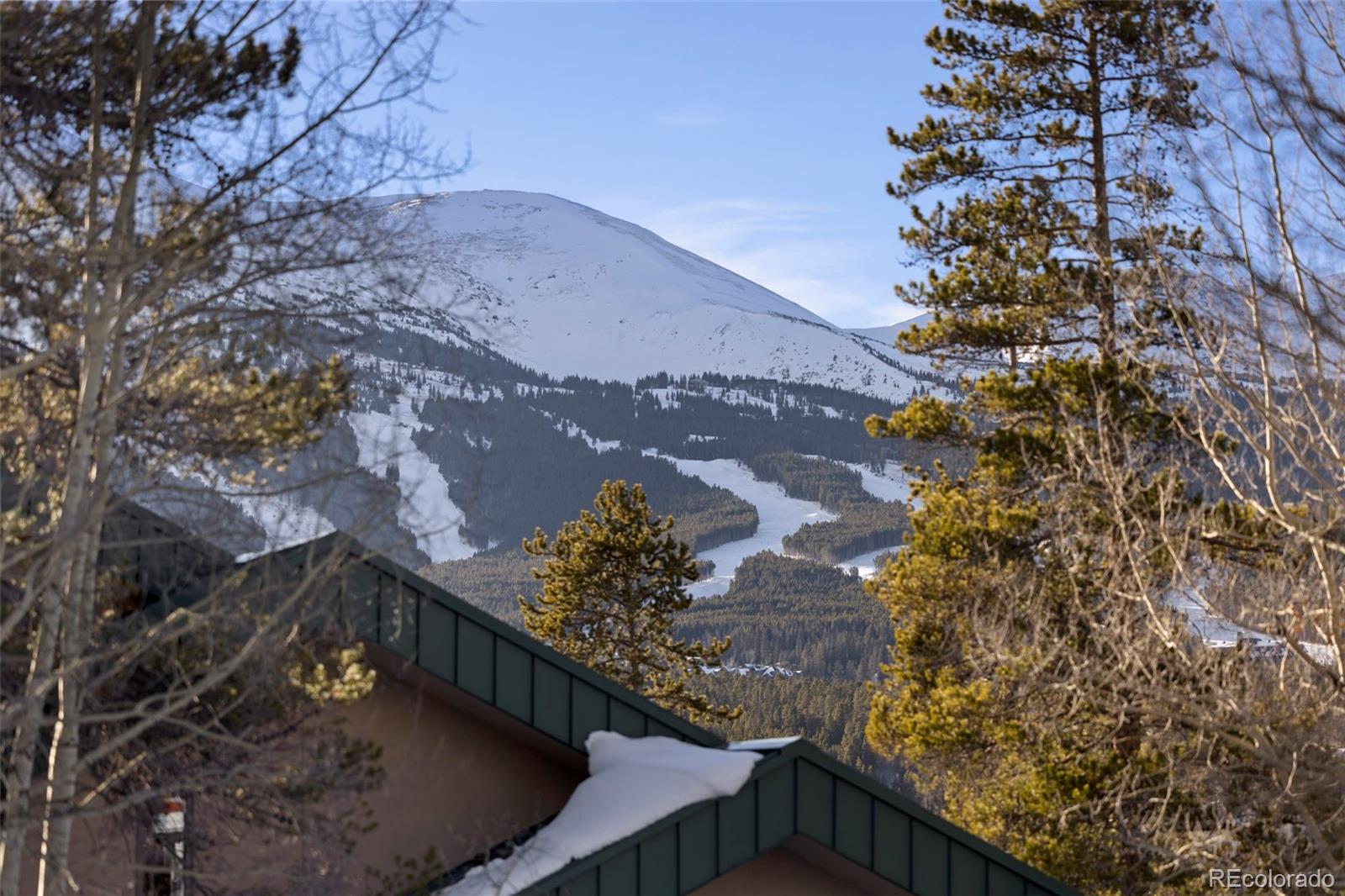 100 N Gold Flake Terrace Breckenridge CO 80424