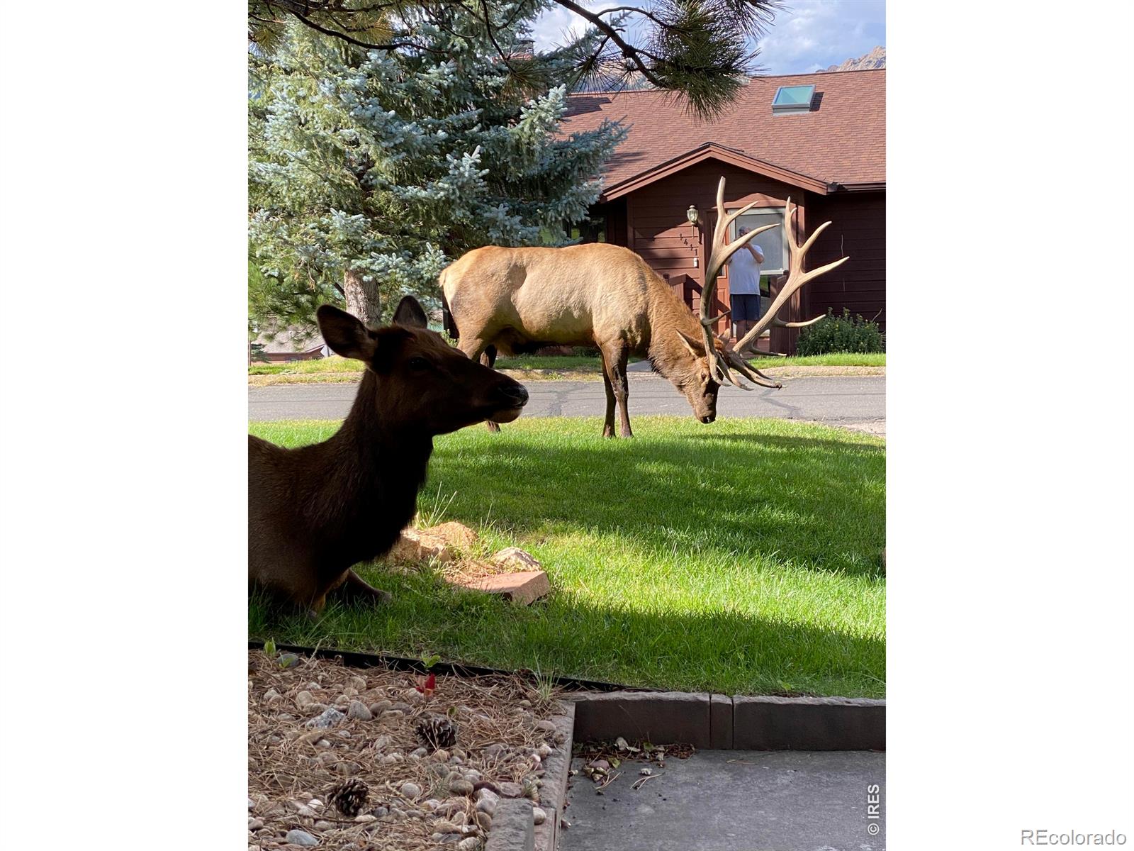 1422 Matthew Circle Estes Park CO 80517