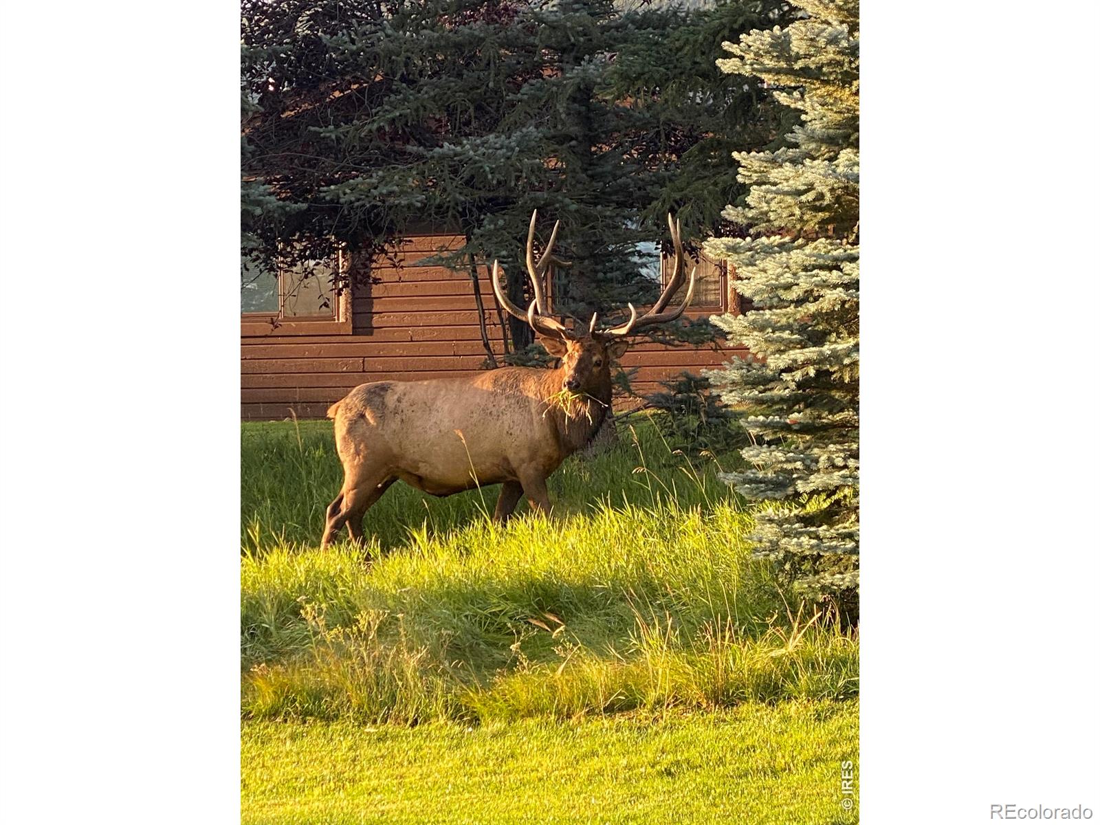 1422 Matthew Circle Estes Park CO 80517