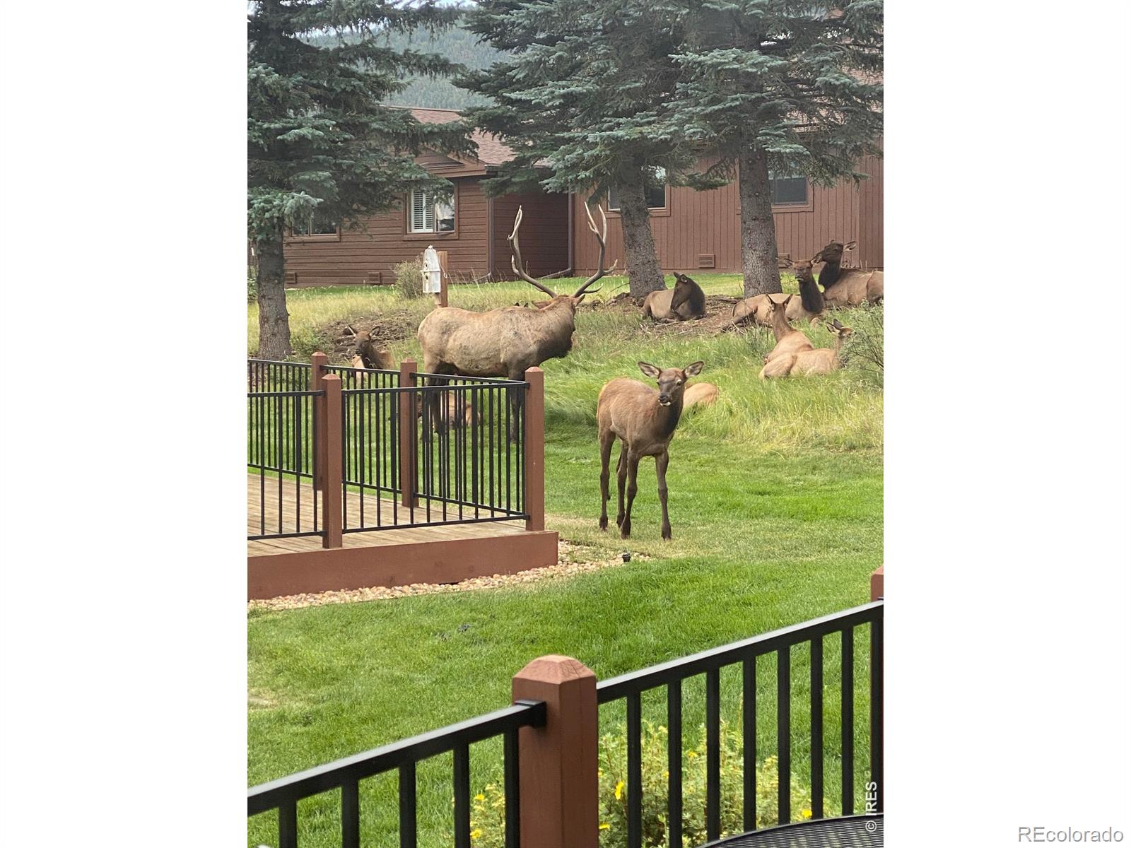 1422 Matthew Circle Estes Park CO 80517