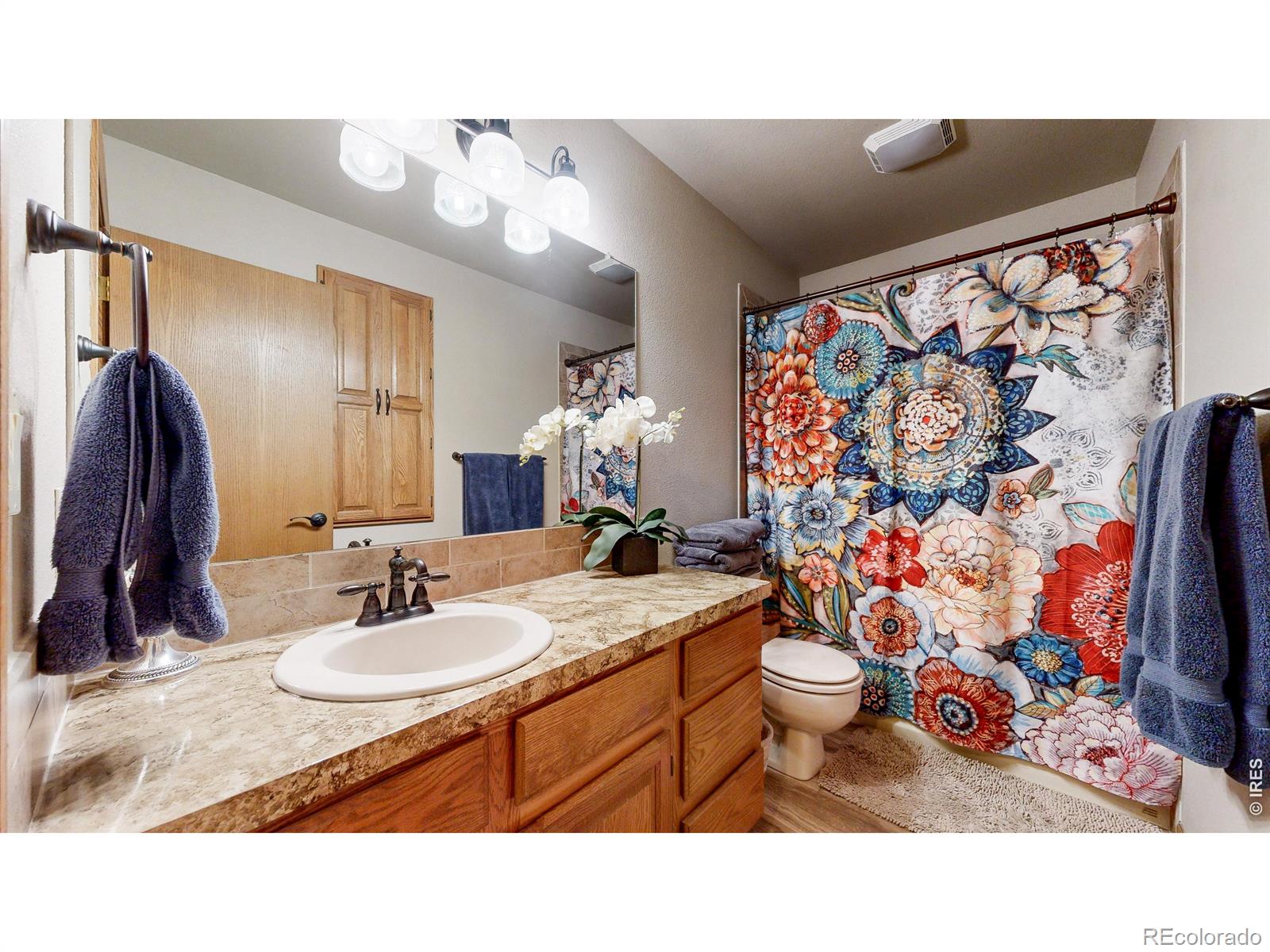 2484 N Boise Avenue Loveland CO 80538