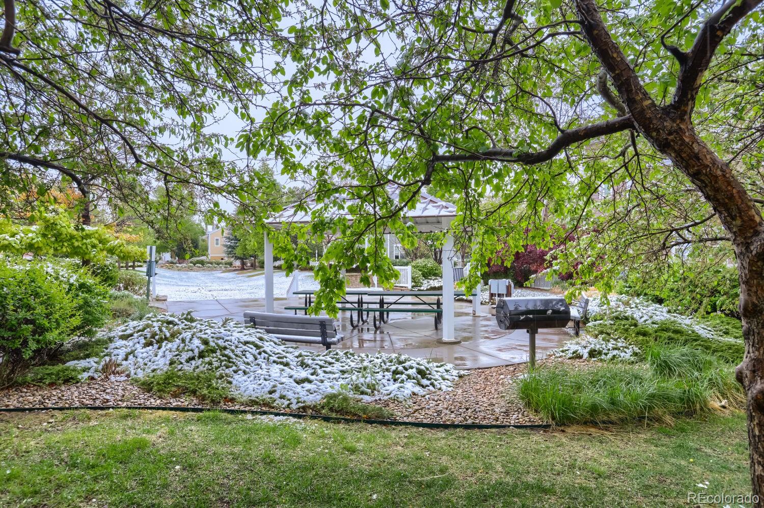 2131 Grays Peak Drive Loveland CO 80538