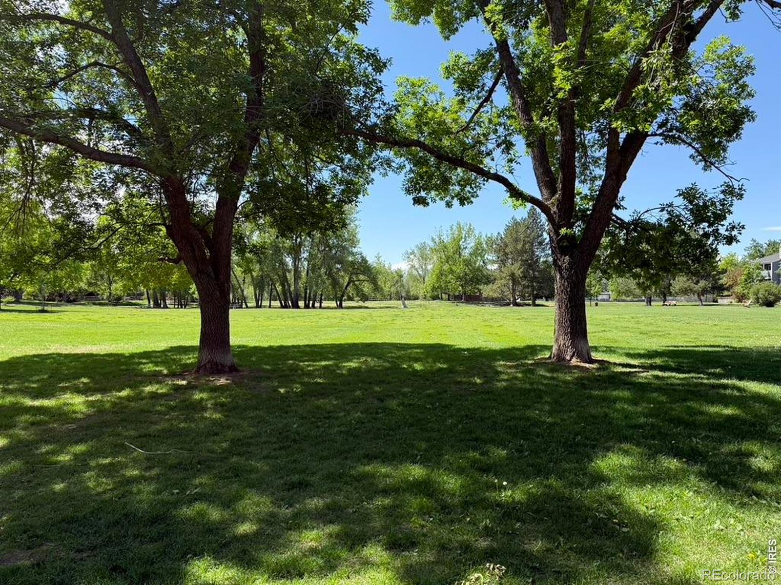6201 Willow Lane Boulder CO 80301