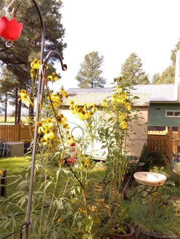 840 Cloud Cap Avenue Pagosa Springs CO 81147