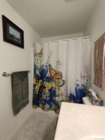 840 Cloud Cap Avenue Pagosa Springs CO 81147