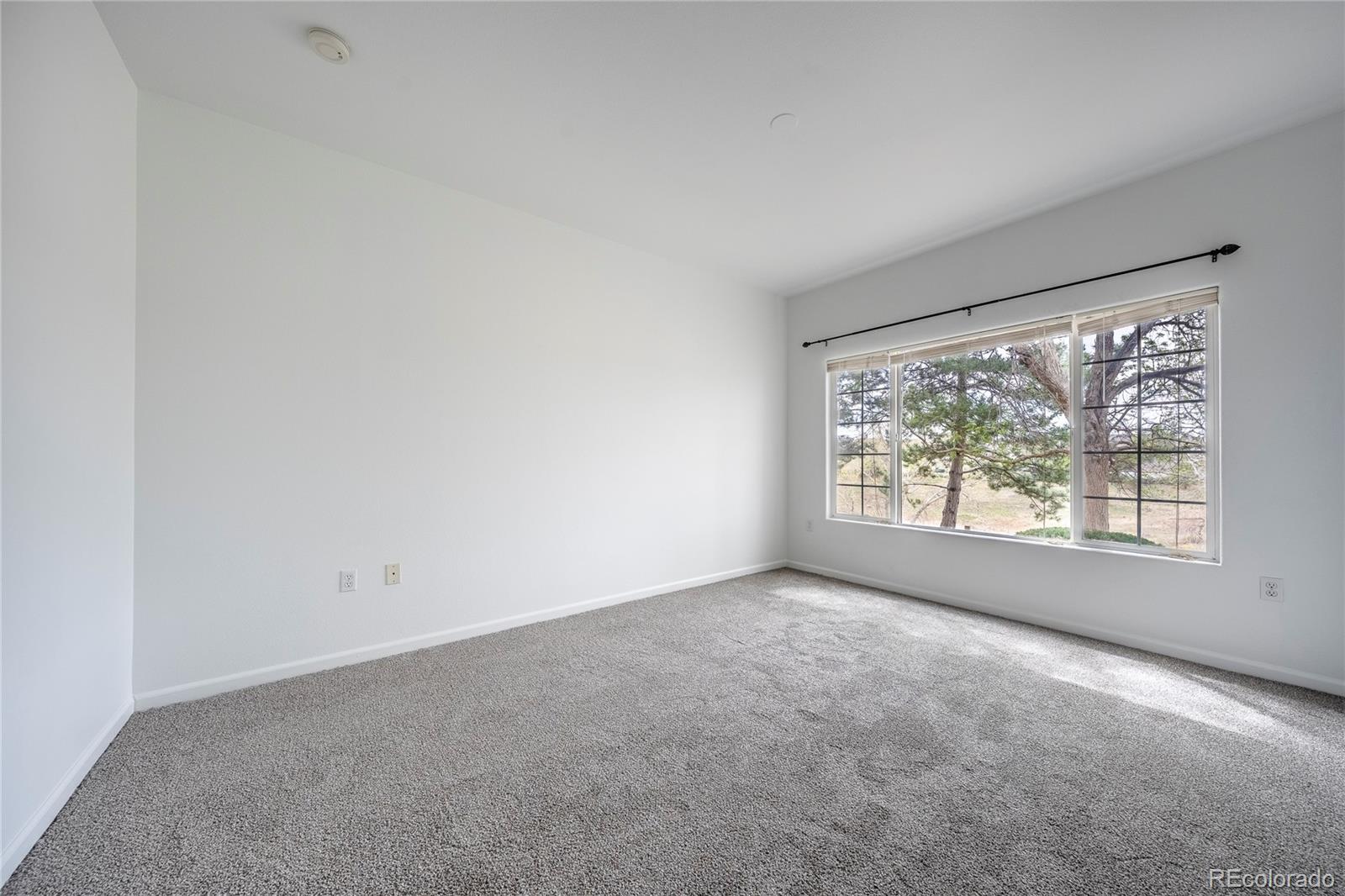 3701 Cactus Creek Court Highlands Ranch CO 80126