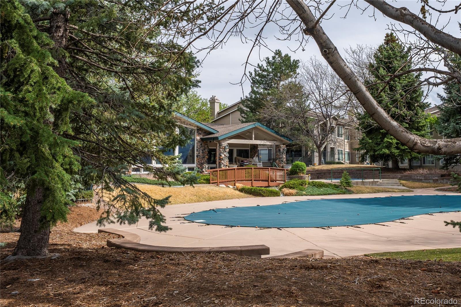 3701 Cactus Creek Court Highlands Ranch CO 80126