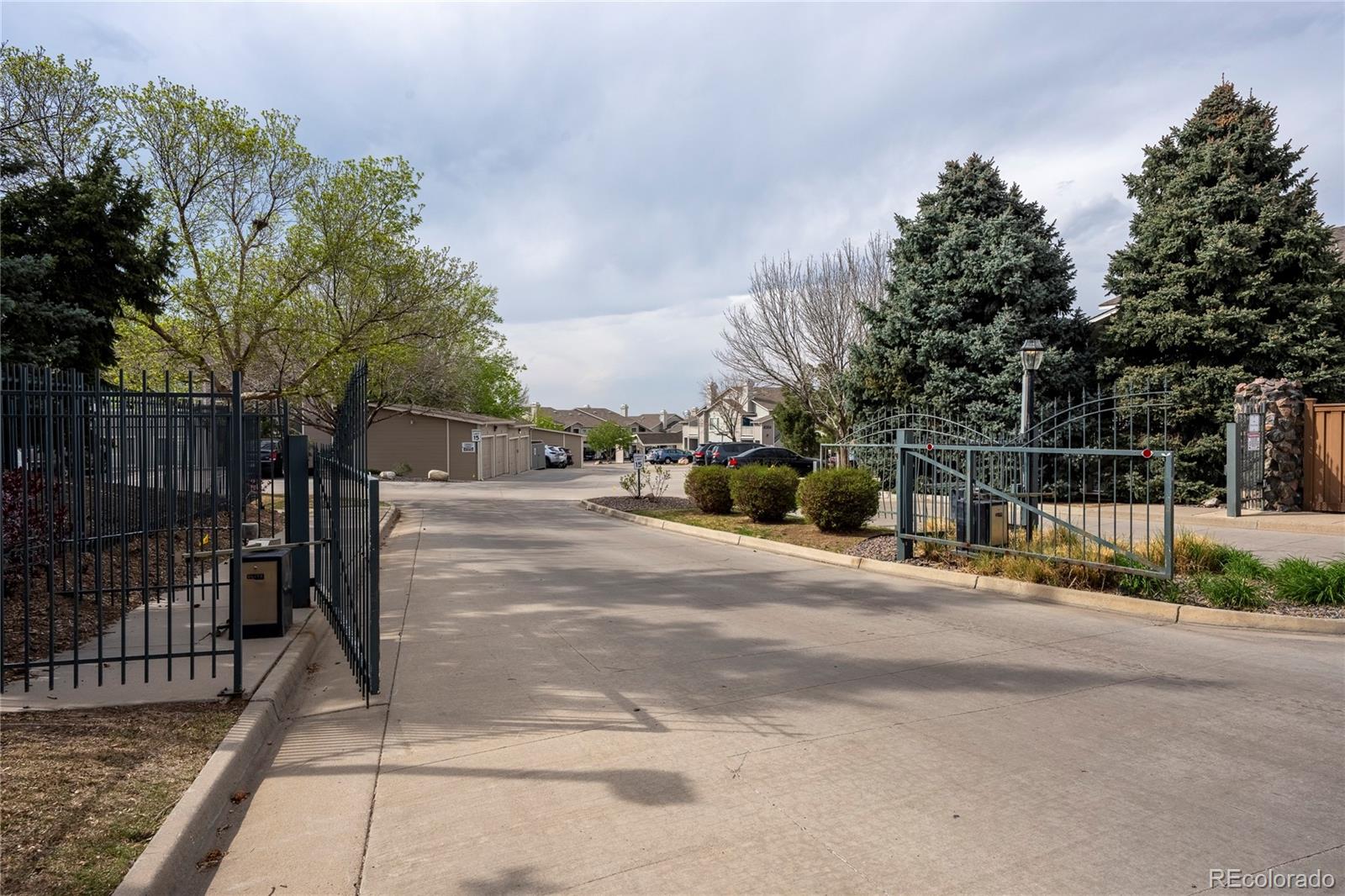 3701 Cactus Creek Court Highlands Ranch CO 80126