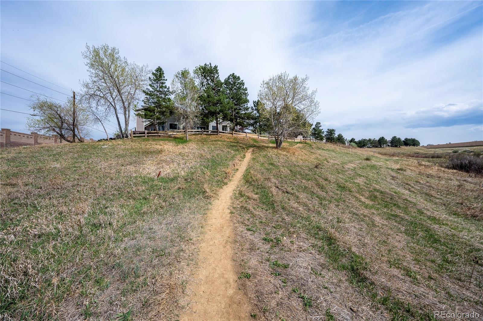 3701 Cactus Creek Court Highlands Ranch CO 80126