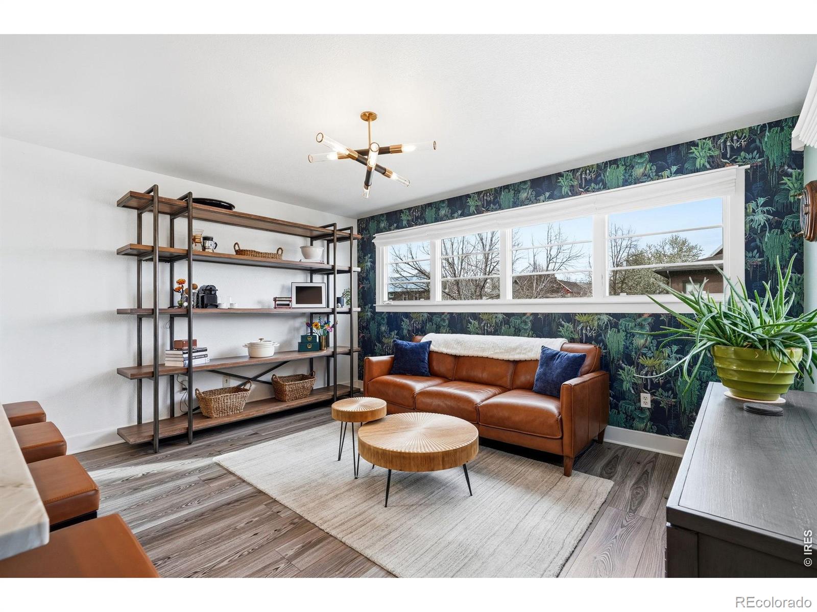 742 Tenacity Drive Longmont CO 80504