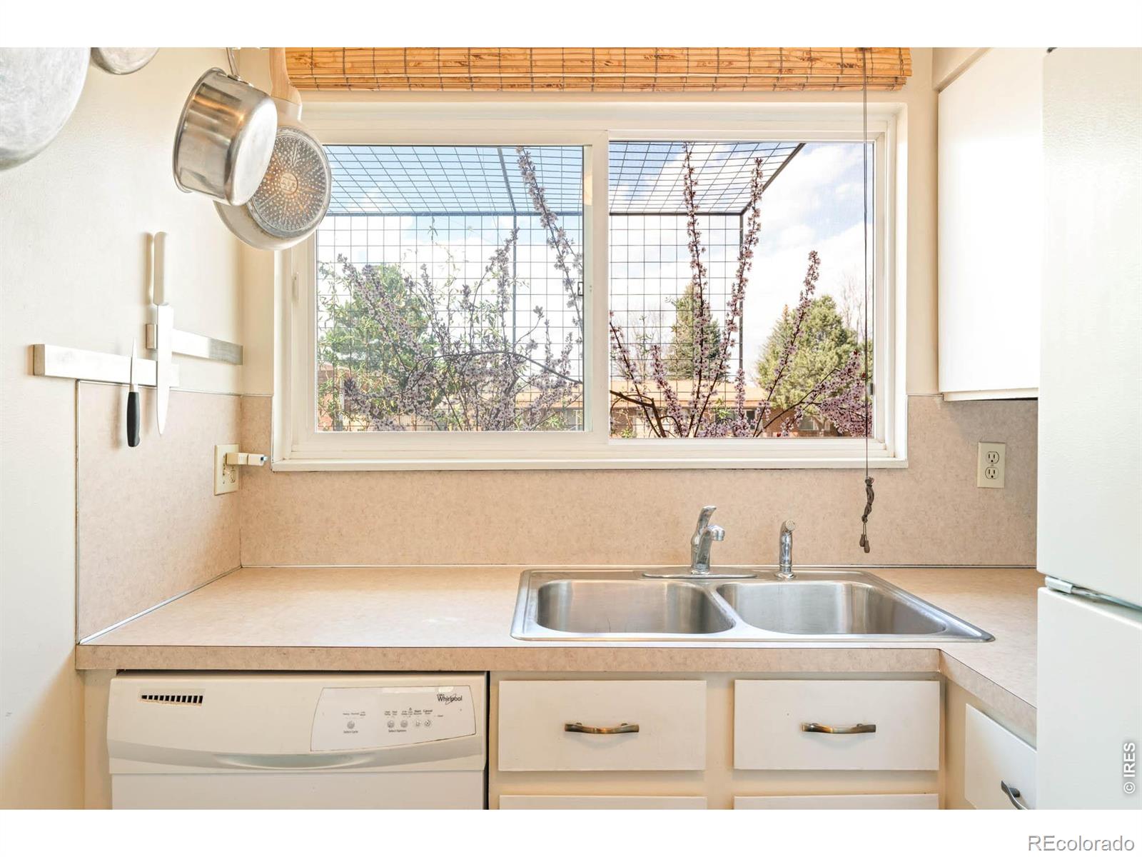 1700 Palm Drive Fort Collins CO 80526