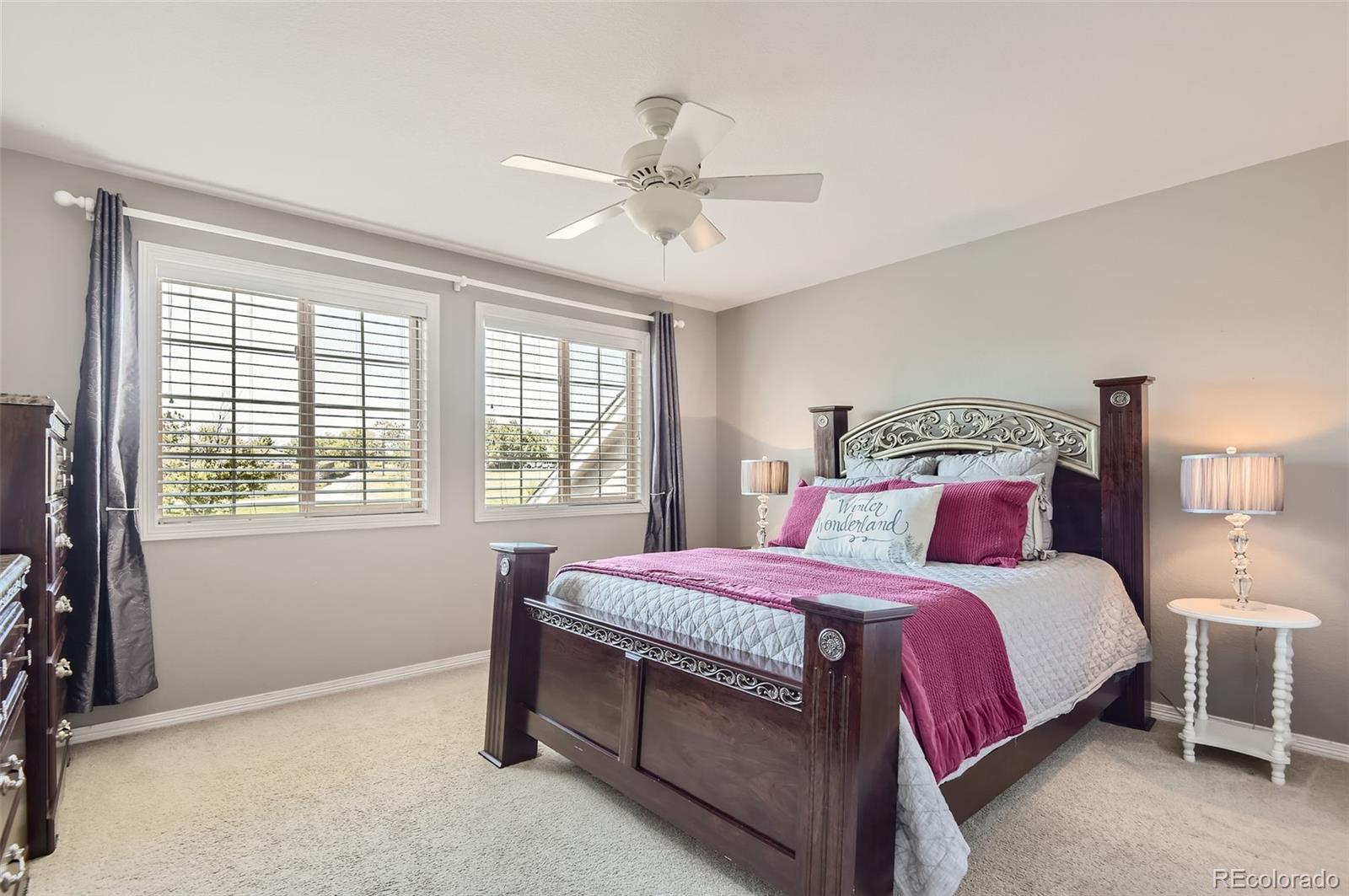 9853 Greensview Circle Lone Tree CO 80124
