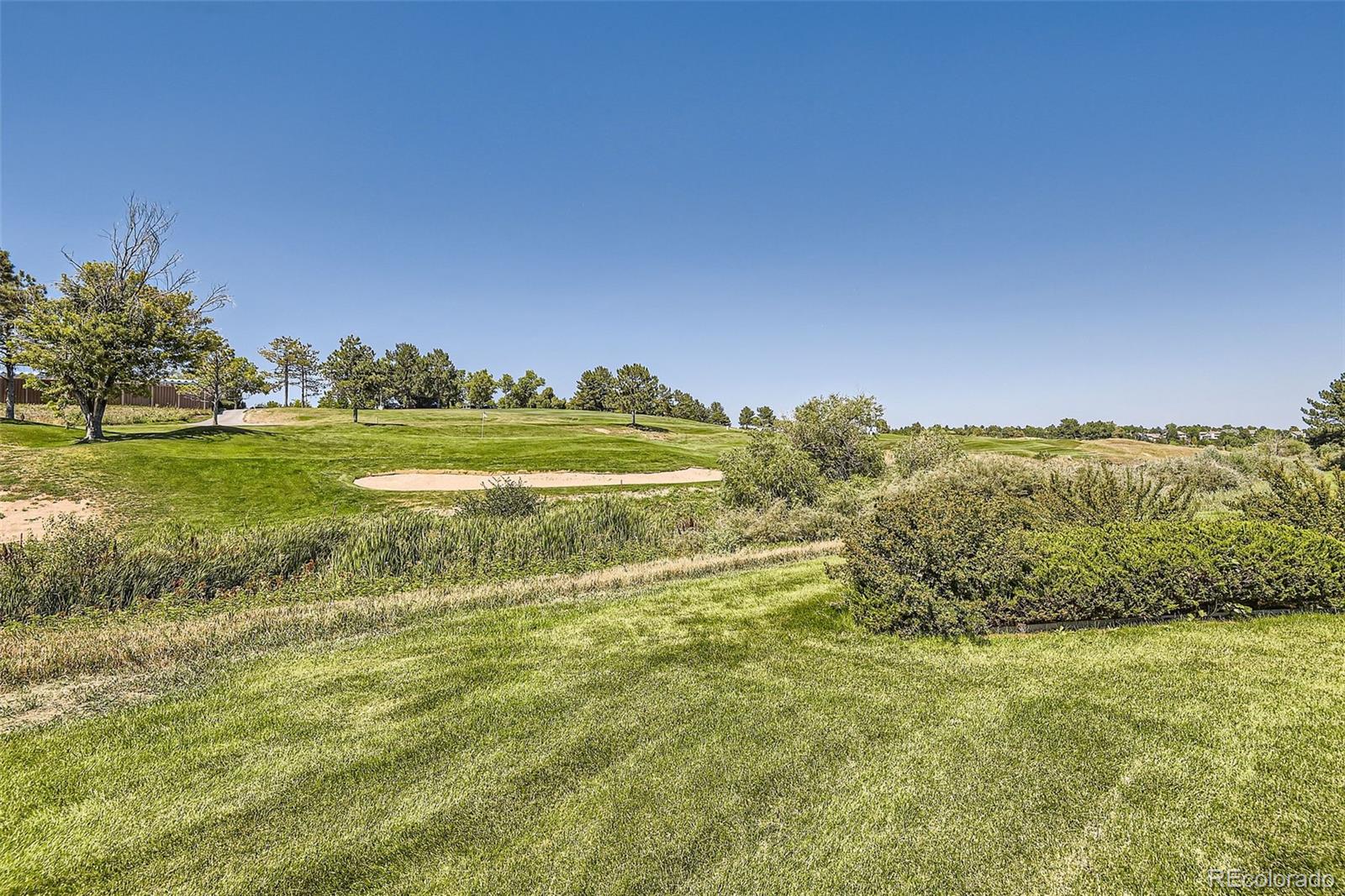 9853 Greensview Circle Lone Tree CO 80124