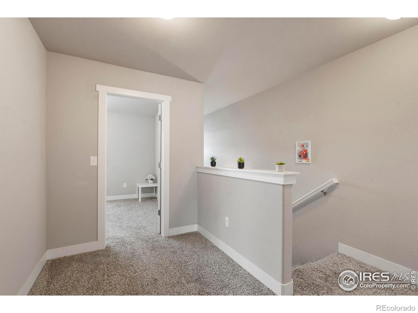 6340 Orchard Park Drive Greeley CO 80634