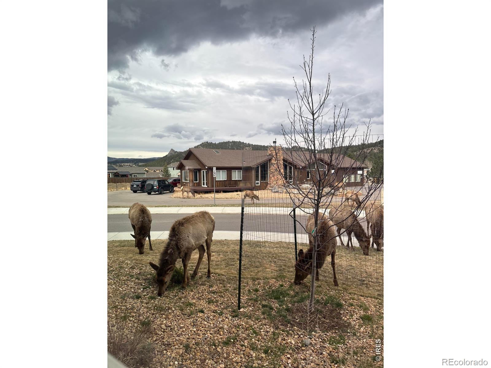 1728 Continental Peaks Circle Estes Park CO 80517