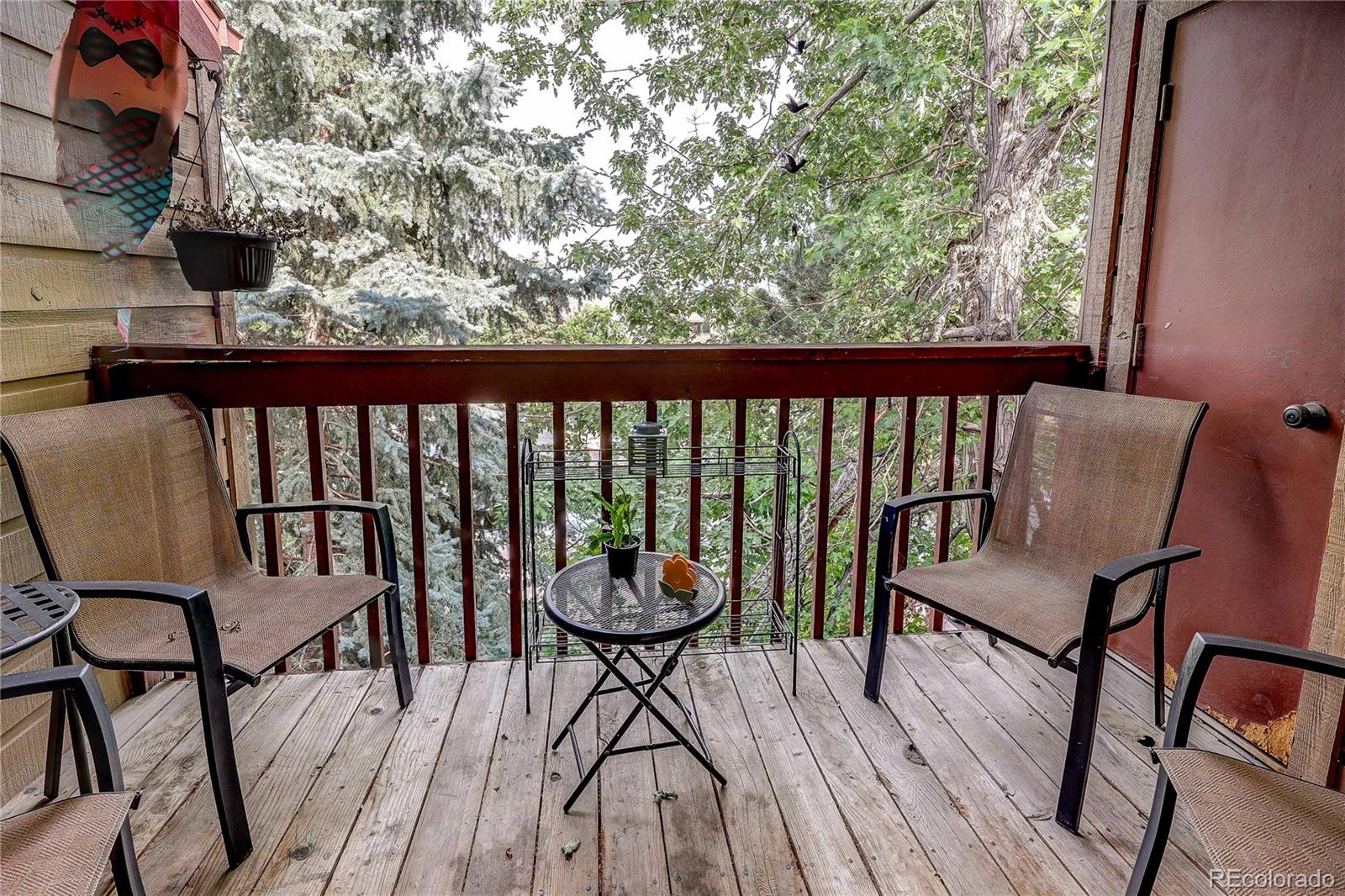 222 Wright Street Lakewood CO 80228