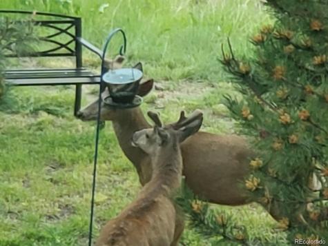 9323 Sori Lane Highlands Ranch CO 80126