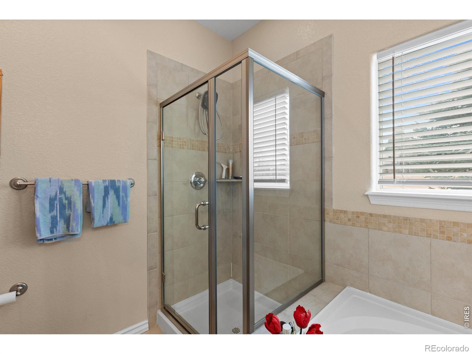 8588 W 93rd Court Broomfield CO 80021