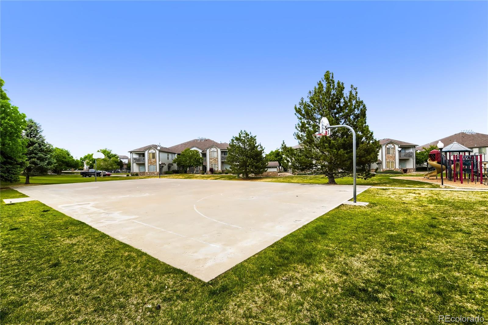 3252 E 103rd Drive Thornton CO 80229