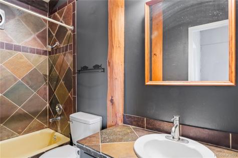 809 Ryan Gulch Road Silverthorne CO 80498