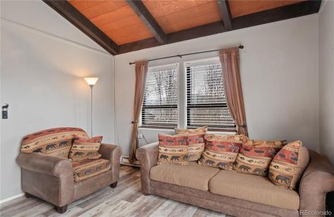 809 Ryan Gulch Road Silverthorne CO 80498