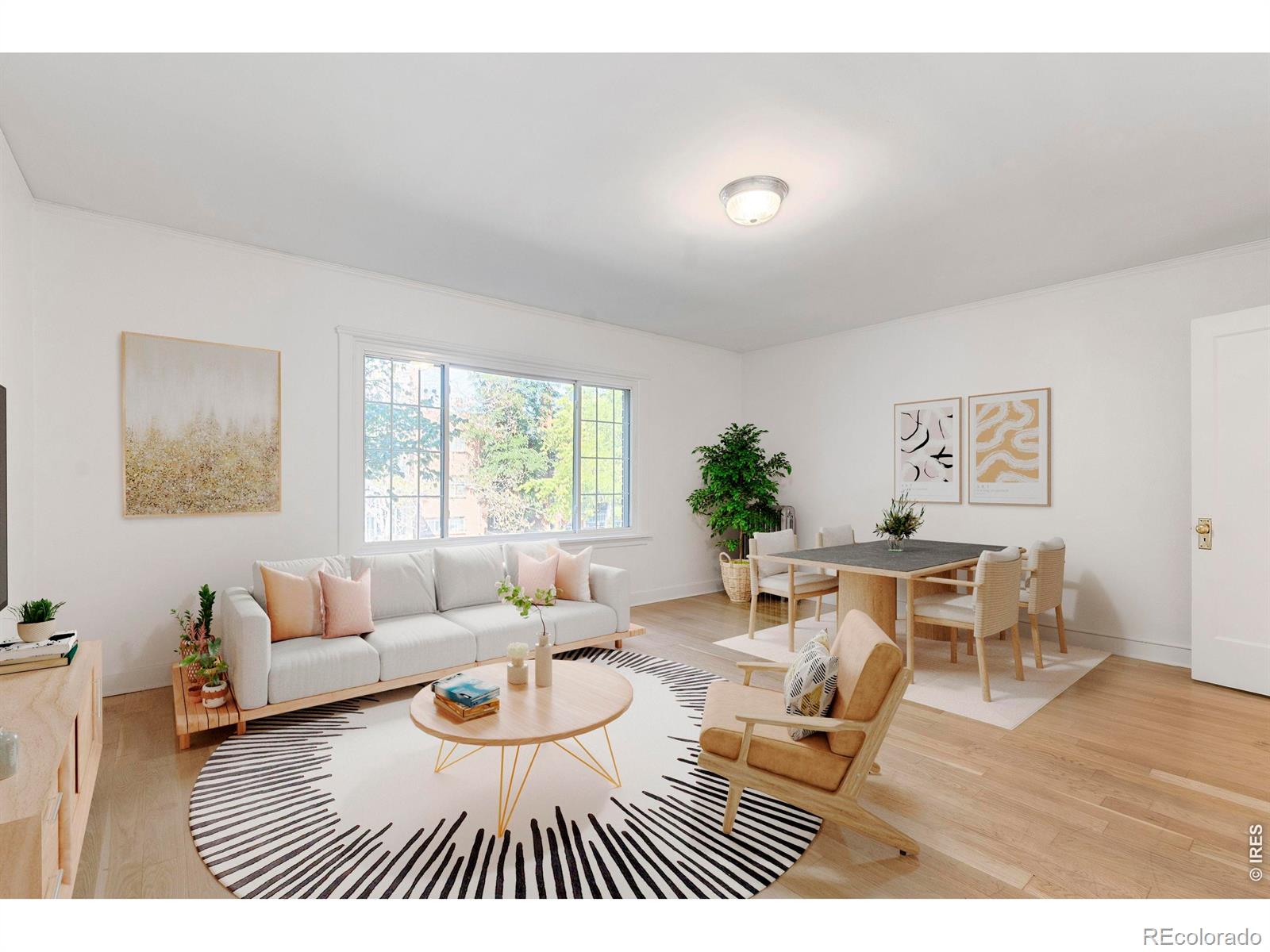 1416 N Downing Street Denver CO 80218
