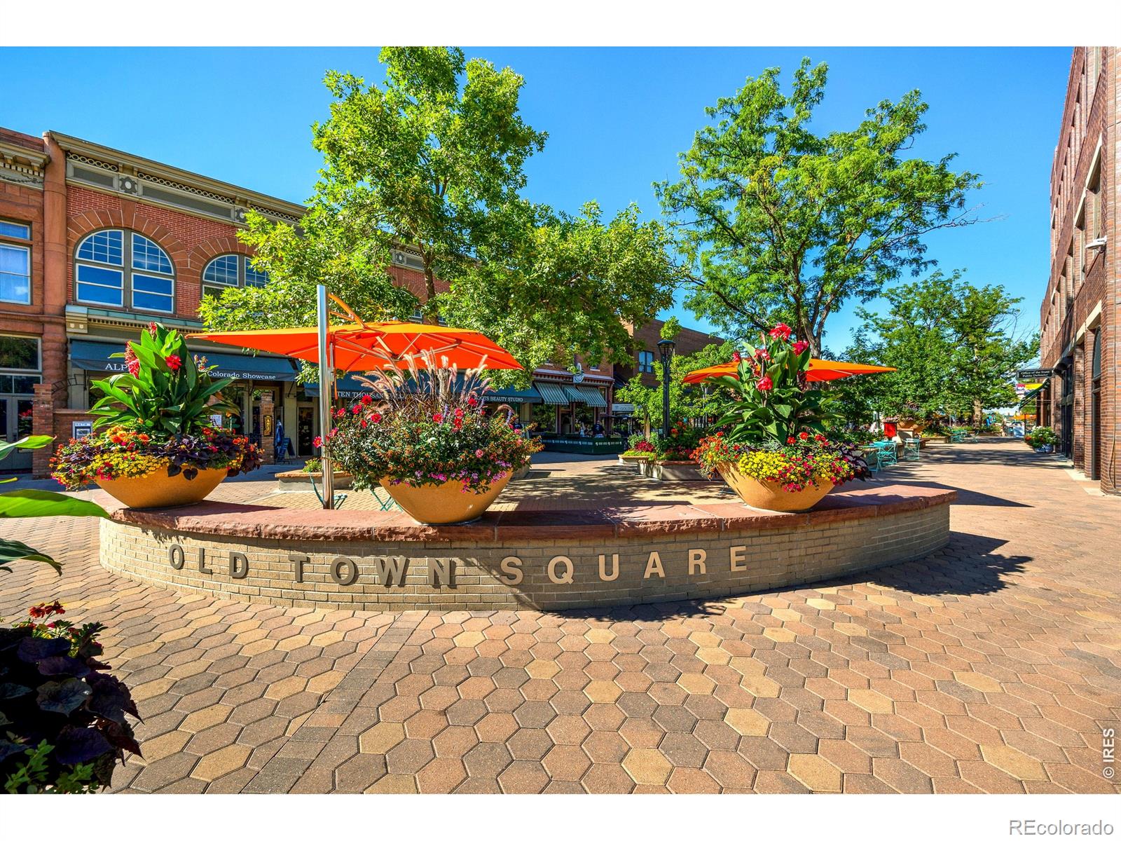 153 Mathews Street Fort Collins CO 80524