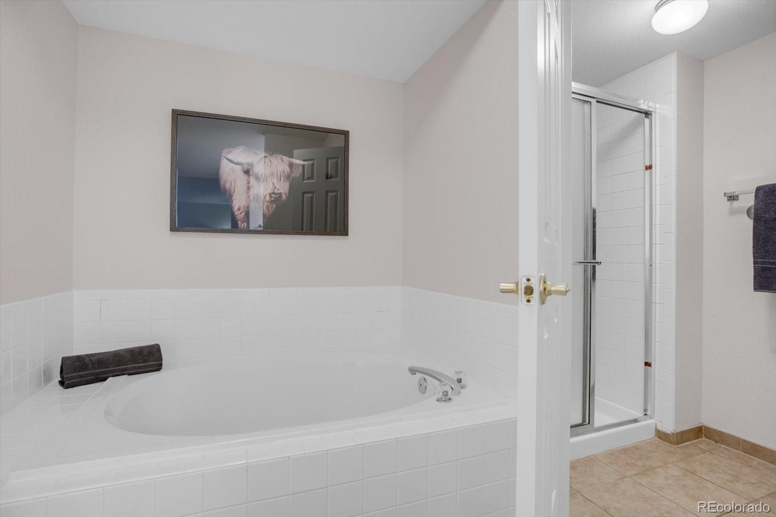 11585 Decatur Street Denver CO 80234