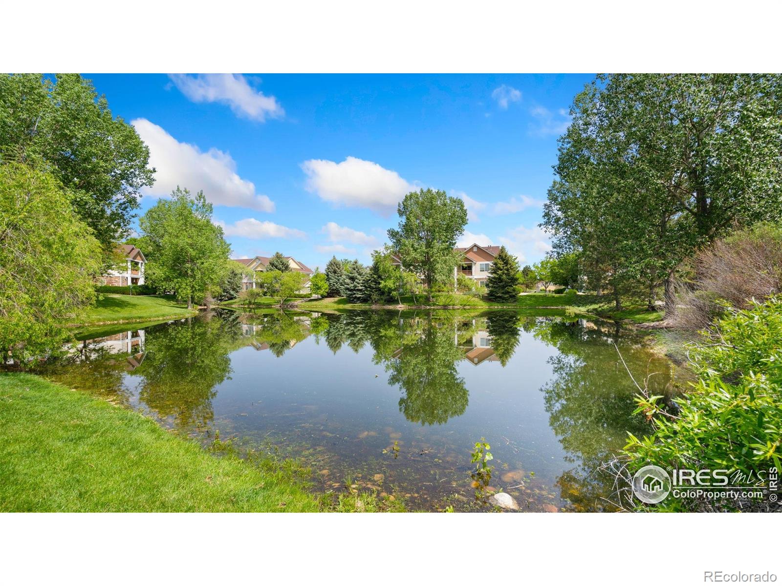 4655 Hahns Peak Drive Loveland CO 80538
