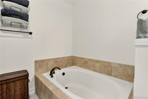 8886 Tappy Toorie Circle Highlands Ranch CO 80129