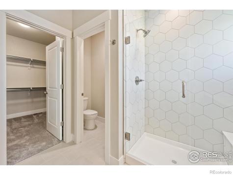 6228 Vernazza Way Windsor CO 80550